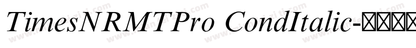 TimesNRMTPro CondItalic字体转换